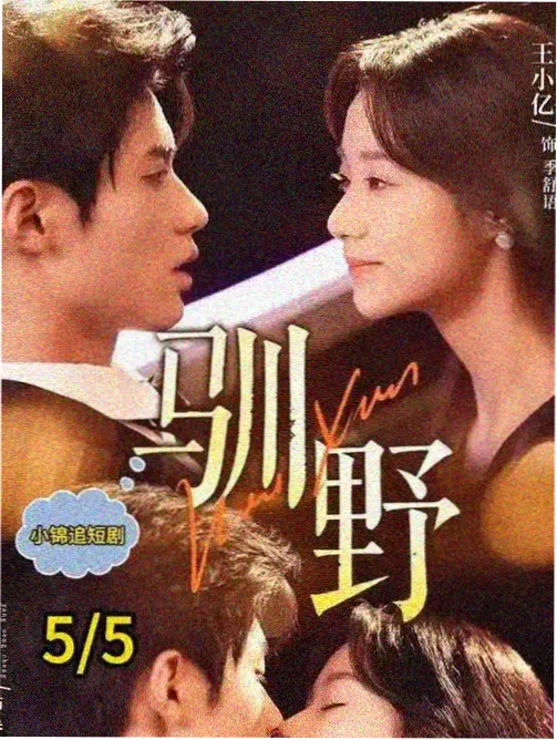 治愈番剧小镇钟声海报